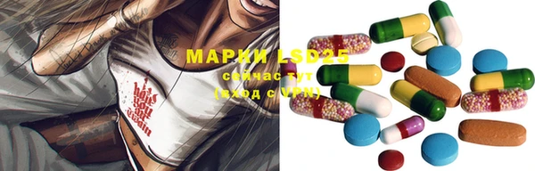 ГАЛЛЮЦИНОГЕННЫЕ ГРИБЫ Беломорск