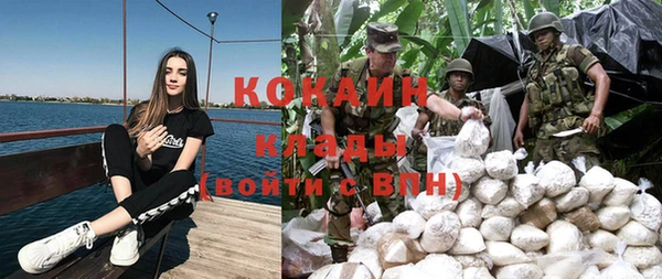 ГАЛЛЮЦИНОГЕННЫЕ ГРИБЫ Беломорск